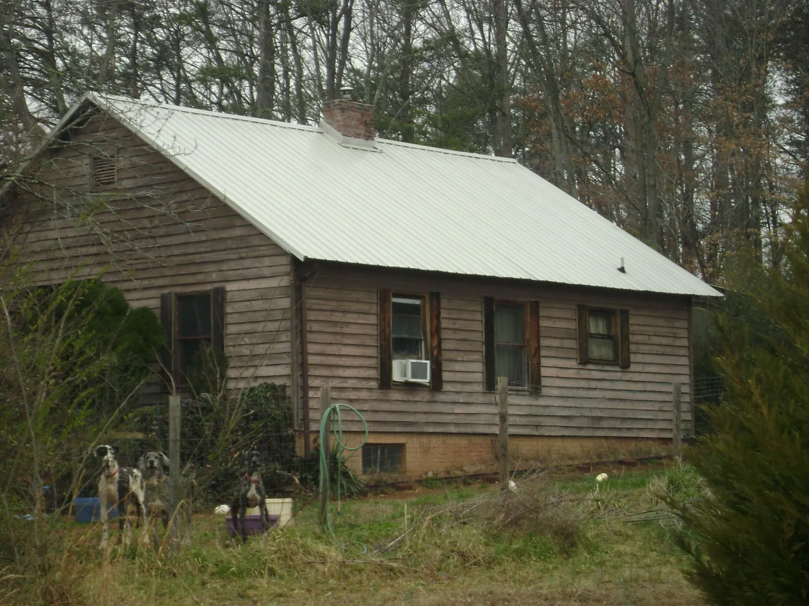 White metal roof on an old wood sided farmhouse, from a Asphalt Shingle Roof Repair job in Gill